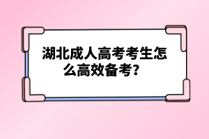 湖北成人高考考生怎么高效備考？