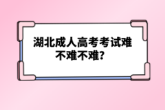 湖北成人高考考試難不難？