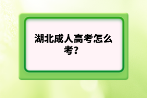 湖北成人高考怎么考？