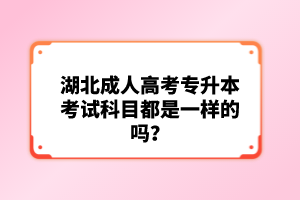 湖北成人高考專升本考試科目都是一樣的嗎？