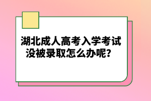 湖北成人高考入學考試沒被錄取怎么辦呢？