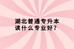 湖北普通專升本讀什么專業(yè)好？