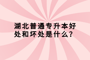 湖北普通專升本好處和壞處是什么？