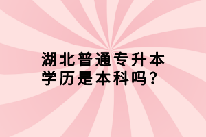 湖北普通專升本學(xué)歷是本科嗎？