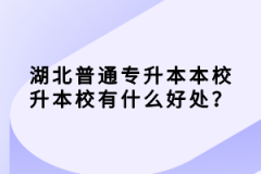 湖北普通專升本本校升本校有什么好處？