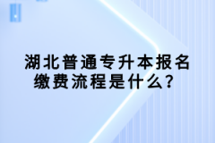 湖北普通專升本報(bào)名繳費(fèi)流程是什么？