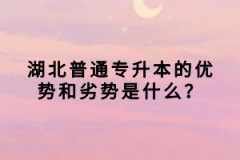 湖北普通專升本的優(yōu)勢(shì)和劣勢(shì)是什么？