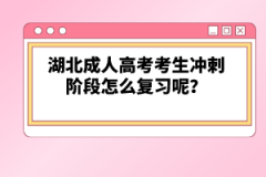 湖北成人高考考生沖刺階段怎么復(fù)習呢？