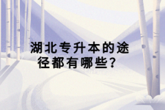 湖北統(tǒng)招專升本專業(yè)怎么選？