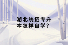 湖北統(tǒng)招專升本怎樣自學(xué)？
