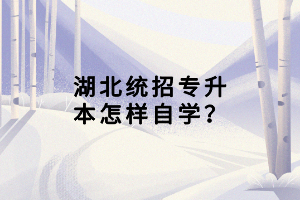 湖北統(tǒng)招專升本怎樣自學(xué)？