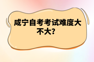 咸寧自考考試難度大不大？