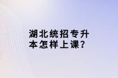 湖北統(tǒng)招專升本怎樣上課？