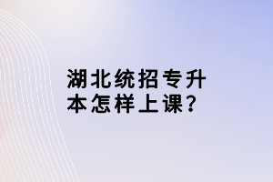 湖北統(tǒng)招專升本怎樣上課？
