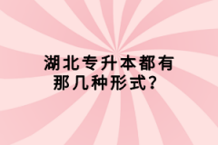 湖北專升本都有那幾種形式？
