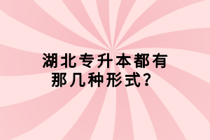 湖北專升本都有那幾種形式？