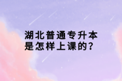 湖北普通專升本是怎樣上課的？