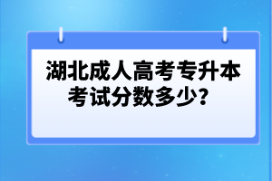 湖北成人高考專升本考試分數多少？