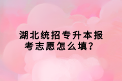 湖北統(tǒng)招專升本報(bào)考志愿怎么填？