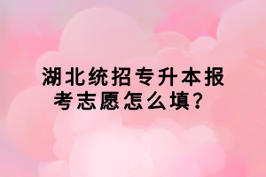 湖北統(tǒng)招專升本報(bào)考志愿怎么填？