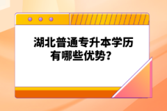 湖北成人高考和函授是一個意思嗎？