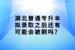 湖北普通專升本擬錄取之后還有可能會被刷嗎？