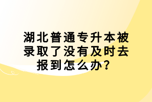 湖北普通專升本被錄取了沒有及時去報到怎么辦？