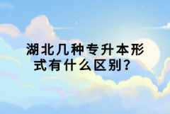 湖北幾種專升本形式有什么區(qū)別？