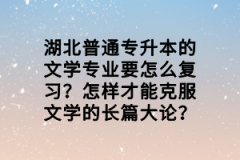 湖北普通專升本的文學(xué)專業(yè)要怎么復(fù)習(xí)？怎樣才能克服文學(xué)的長篇大論？