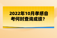 2022年10月孝感自考何時(shí)查詢(xún)成績(jī)？