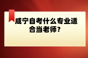 咸寧自考什么專業(yè)適合當(dāng)老師？