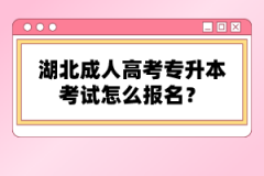 湖北成人高考專升本考試怎么報(bào)名？報(bào)名流程怎么樣？