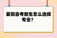 襄陽(yáng)自考新生怎么選擇專業(yè)？