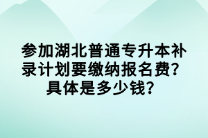參加湖北普通專升本補錄計劃要繳納報名費？具體是多少錢？