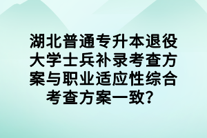 湖北普通專升本退役大學(xué)士兵補(bǔ)錄考查方案與職業(yè)適應(yīng)性綜合考查方案一致？