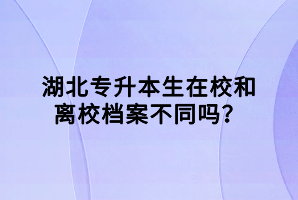 湖北專升本生在校和離校檔案不同嗎？