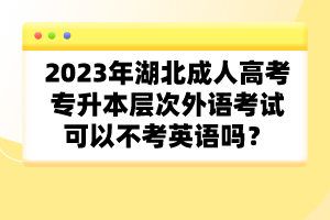 2023年湖北成人高考專升本層次外語考試可以不考英語嗎？
