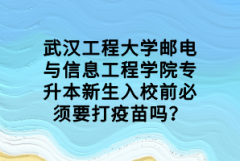 武漢工程大學郵電與信息工程學院專升本新生入校前必須要打疫苗嗎？