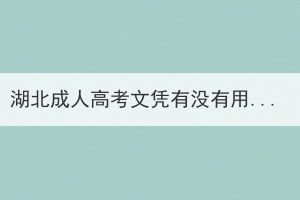 湖北成人高考文憑有沒(méi)有用？